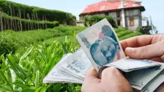 Çay Budama Tazminatı 2026 Zam Oranı Belli Oldu: Üreticiye Yapılacak Ödeme Ne Kadar Olacak?